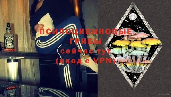 дмт Горнозаводск