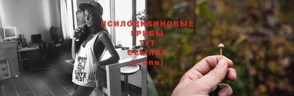 дмт Горнозаводск
