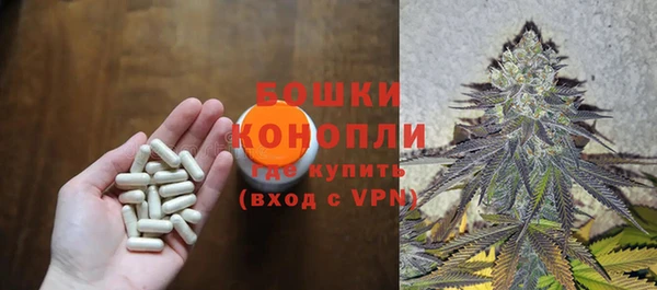 дмт Горнозаводск